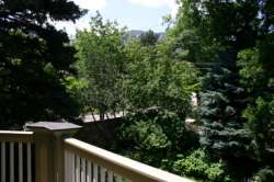 View from master bath porch