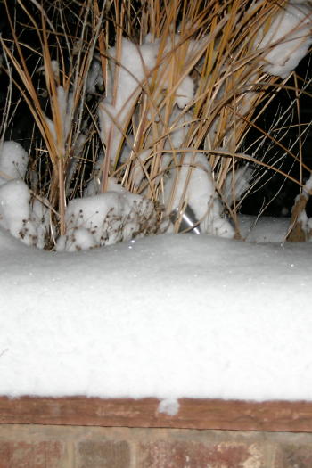 Snow piled up on the patio wall