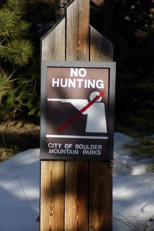 We knew he'd be safe because of the "No Hunting" signs! (also we drove behind him).