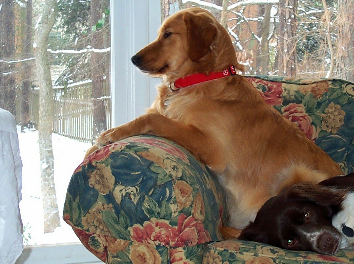 2001 - watching the snow